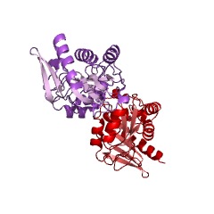 Example Structure of ribose-5-phosphate isomerase EC#: 5.3.1.6