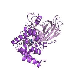 Example Structure of mannose-6-phosphate isomerase EC#: 5.3.1.8