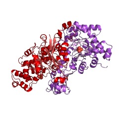 Example Structure of 2,3-diketo-5-methylthiopentyl-1-phosphate enolase EC#: 5.3.2.5