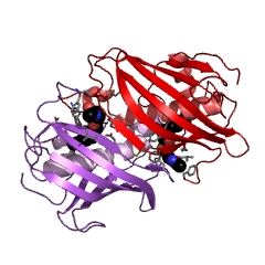 Example Structure of trans-2-decenoyl-[acyl-carrier protein] isomerase EC#: 5.3.3.14