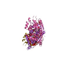 Example Structure of 2-(1,2-epoxy-1,2-dihydrophenyl)acetyl-CoA isomerase EC#: 5.3.3.18