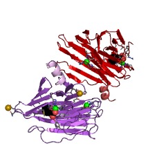Example Structure of 3-[(4R)-4-hydroxycyclohexa-1,5-dien-1-yl]-2-oxopropanoate isomerase EC#: 5.3.3.19