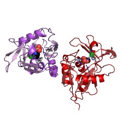 Example Structure of isopentenyl-diphosphate DELTA-isomerase EC#: 5.3.3.2