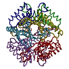 Example Structure of muconolactone DELTA-isomerase EC#: 5.3.3.4