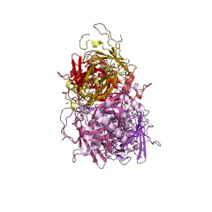 Example Structure of methylitaconate DELTA-isomerase EC#: 5.3.3.6