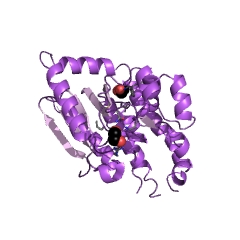 Example Structure of DELTA3-DELTA2-enoyl-CoA isomerase EC#: 5.3.3.8