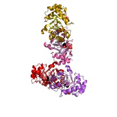 Example Structure of thiazole tautomerase EC#: 5.3.99.10