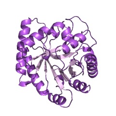 Example Structure of 2-keto-myo-inositol isomerase EC#: 5.3.99.11