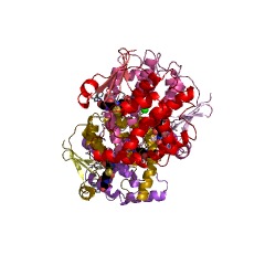 Example Structure of Prostaglandin-D synthase EC#: 5.3.99.2