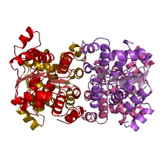 Example Structure of precorrin-8X methylmutase EC#: 5.4.1.2