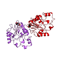 Example Structure of phosphoglycerate mutase EC#: 5.4.2.1