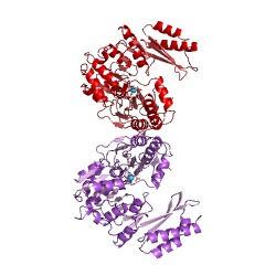 Example Structure of phosphoglucosamine mutase EC#: 5.4.2.10