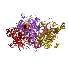 Example Structure of phosphoglycerate mutase (2,3-diphosphoglycerate-dependent) EC#: 5.4.2.11