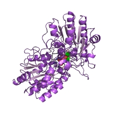 Example Structure of phosphoglycerate mutase (2,3-diphosphoglycerate-independent) EC#: 5.4.2.12