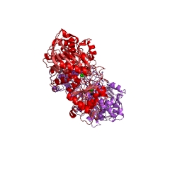 Example Structure of phosphoglucomutase (alpha-D-glucose-1,6-bisphosphate-dependent) EC#: 5.4.2.2