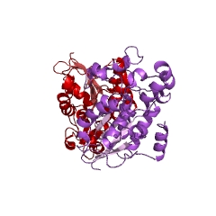 Example Structure of Bisphosphoglycerate mutase EC#: 5.4.2.4