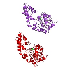 Example Structure of beta-Phosphoglucomutase EC#: 5.4.2.6