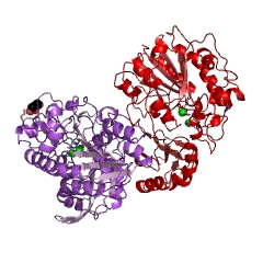Example Structure of phosphopentomutase EC#: 5.4.2.7