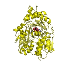 Example Structure of phosphomannomutase EC#: 5.4.2.8