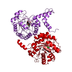 Example Structure of phosphoenolpyruvate mutase EC#: 5.4.2.9