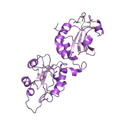 Example Structure of ornithine 4,5-aminomutase EC#: 5.4.3.1
