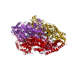 Example Structure of phenylalanine aminomutase (L-beta-phenylalanine forming) EC#: 5.4.3.10
