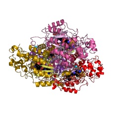Example Structure of lysine 2,3-aminomutase EC#: 5.4.3.2