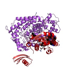 Example Structure of D-lysine 5,6-aminomutase EC#: 5.4.3.4
