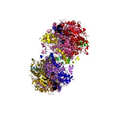 Example Structure of D-ornithine 4,5-aminomutase EC#: 5.4.3.5