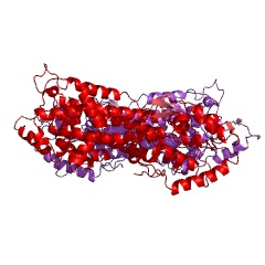 Example Structure of tyrosine 2,3-aminomutase EC#: 5.4.3.6