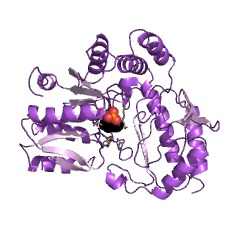 Example Structure of glutamate-1-semialdehyde 2,1-aminomutase EC#: 5.4.3.8