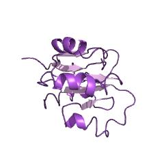 Example Structure of methylaspartate mutase EC#: 5.4.99.1
