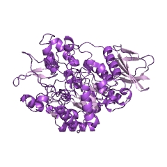 Example Structure of isomaltulose synthase EC#: 5.4.99.11