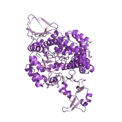Example Structure of (1-></noscript>4)-alpha-D-glucan 1-alpha-D-glucosylmutase EC#: 5.4.99.15″ /></td>
</tr>
<tr>
<td>Synonyms</td>
<td>(1,4)-alpha-D-glucan 1-alpha-D-glucosylmutase, (1->4)-alpha-D-Glucan 1-alpha-glucosylmutase, Cellulase (Arthrobacter strain Q36 clone pBMT13 trehalose oligosaccharide-forming), Cellulase (Rhizobium strain M11 clone pBMT7 trehalose oligosaccharide-forming), Malto-oligosyltrehalose synthase, Maltodextrin alpha-D-glucosyltransferase, maltooligosyl trehalose synthase, Maltooligosyl trehalose synthase (Rhizobium strain M-11 clone pBMTU1 gene treY reduced), maltooligosyl-trehalose synthase, maltooligosyltrehalose synthase, MOTS, MTS, MTSase, MTSH, protein ST0929, SEB24, SP3.5, SSO2095, SsTDFE, Synthase, maltooligosyltrehalose (Rhizobium strain M-11 clone pBMTU1 gene treY reduced), Synthase, maltooligosyltrehalose (Sulfolobus acidocaldarius clone pBST1 gene treY), Sythase, maltooligosyltrehalose (Arthrobacter clone pBRT4 gene treY), TDFE, trehalosyl dextrin-forming enzyme, TreY</td>
</tr>
<tr>
<td>EC Number</td>
<td>5.4.99.15</td>
</tr>
<tr>
<td>CAS Registry Number</td>
<td>170780-49-1</td>
</tr>
<tr>
<td>Comments</td>
<td>The enzyme from?Arthrobacter?sp.,?Sulfolobus acidocaldarius?acts on (1¡ú4)-¦Á-D-glucans containing three or more (1¡ú4)-¦Á-linked?D-glucose units. Not active towards maltose.</td>
</tr>
<tr>
<td>Cofactor</td>
<td></td>
</tr>
<tr>
<td>History</td>
<td></td>
</tr>
<tr>
<td>Reactions</td>
<td>4-((1->4)-alpha-D-glucosyl)(n-1)-D-glucose = 1-alpha-D-((1->4)-alpha-D- glucosyl)(n-1)-alpha-D-glucopyranoside.</td>
</tr>
</tbody>
</table>
</figure>
<!-- Developer mode initialization; Version: 1.2.9;Relation: tags; All categories: 1;No taxonomy terms to get posts;Plugin execution time: 0.00052881240844727 sec; --><!-- CONTENT END 1 -->
        
<table>
<tr><td colspan=