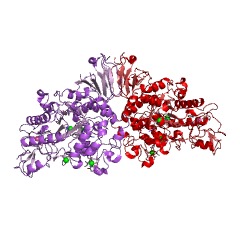 Example Structure of maltose alpha-D-glucosyltransferase EC#: 5.4.99.16
