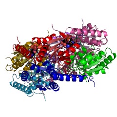 Example Structure of 5-(carboxyamino)imidazole ribonucleotide mutase EC#: 5.4.99.18