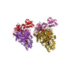 Example Structure of methylmalonyl-CoA mutase EC#: 5.4.99.2