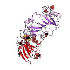 Example Structure of 23S rRNA pseudouridine2457 synthase EC#: 5.4.99.20