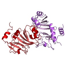 Example Structure of 23S rRNA pseudouridine2604 synthase EC#: 5.4.99.21