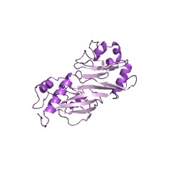 Example Structure of 23S rRNA pseudouridine1911/1915/1917 synthase EC#: 5.4.99.23