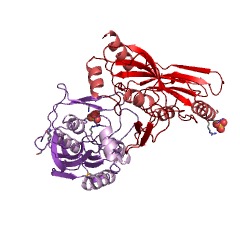 Example Structure of 23S rRNA pseudouridine955/2504/2580 synthase EC#: 5.4.99.24