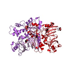 Example Structure of tRNA pseudouridine13 synthase EC#: 5.4.99.27