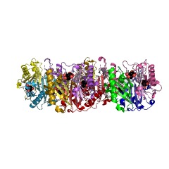 Example Structure of chorismate mutase EC#: 5.4.99.5