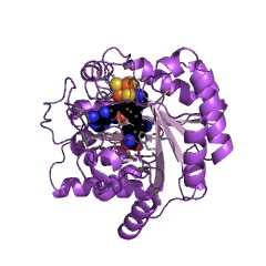 Example Structure of methylornithine synthase EC#: 5.4.99.58