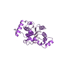 Example Structure of precorrin-8X methylmutase EC#: 5.4.99.61