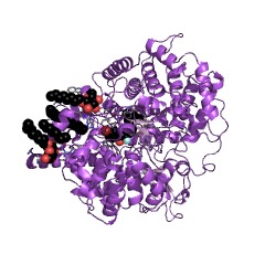 Example Structure of Lanosterol synthase EC#: 5.4.99.7