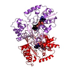Example Structure of UDP-galactopyranose mutase EC#: 5.4.99.9