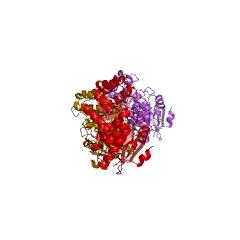 Example Structure of Muconate cycloisomerase EC#: 5.5.1.1