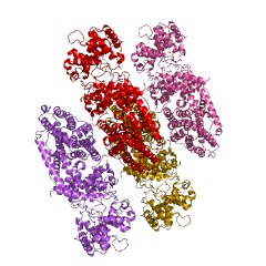Example Structure of copalyl diphosphate synthase EC#: 5.5.1.12