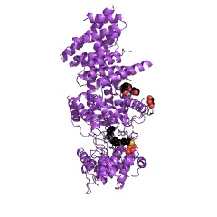 Example Structure of ent-copalyl diphosphate synthase EC#: 5.5.1.13
